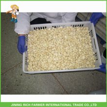 Naturally High Quality Chinese Fresh Peeled Garlic Materials